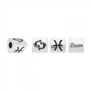 Triangle Pisces Zodiac Bead