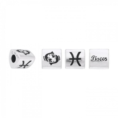 Triangle Pisces Zodiac Bead